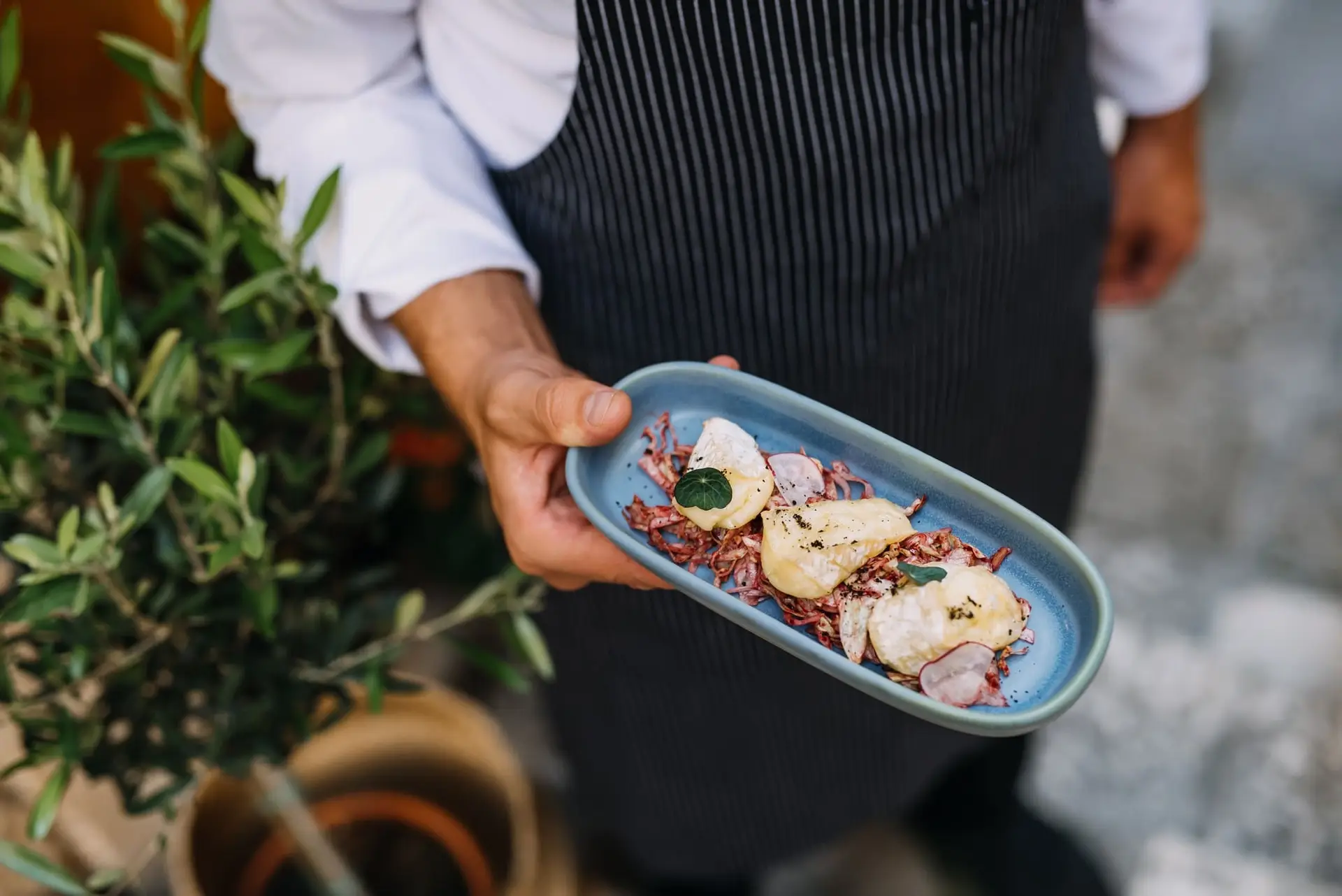 Tapas dish at Lucin Kantun Dubrovnik