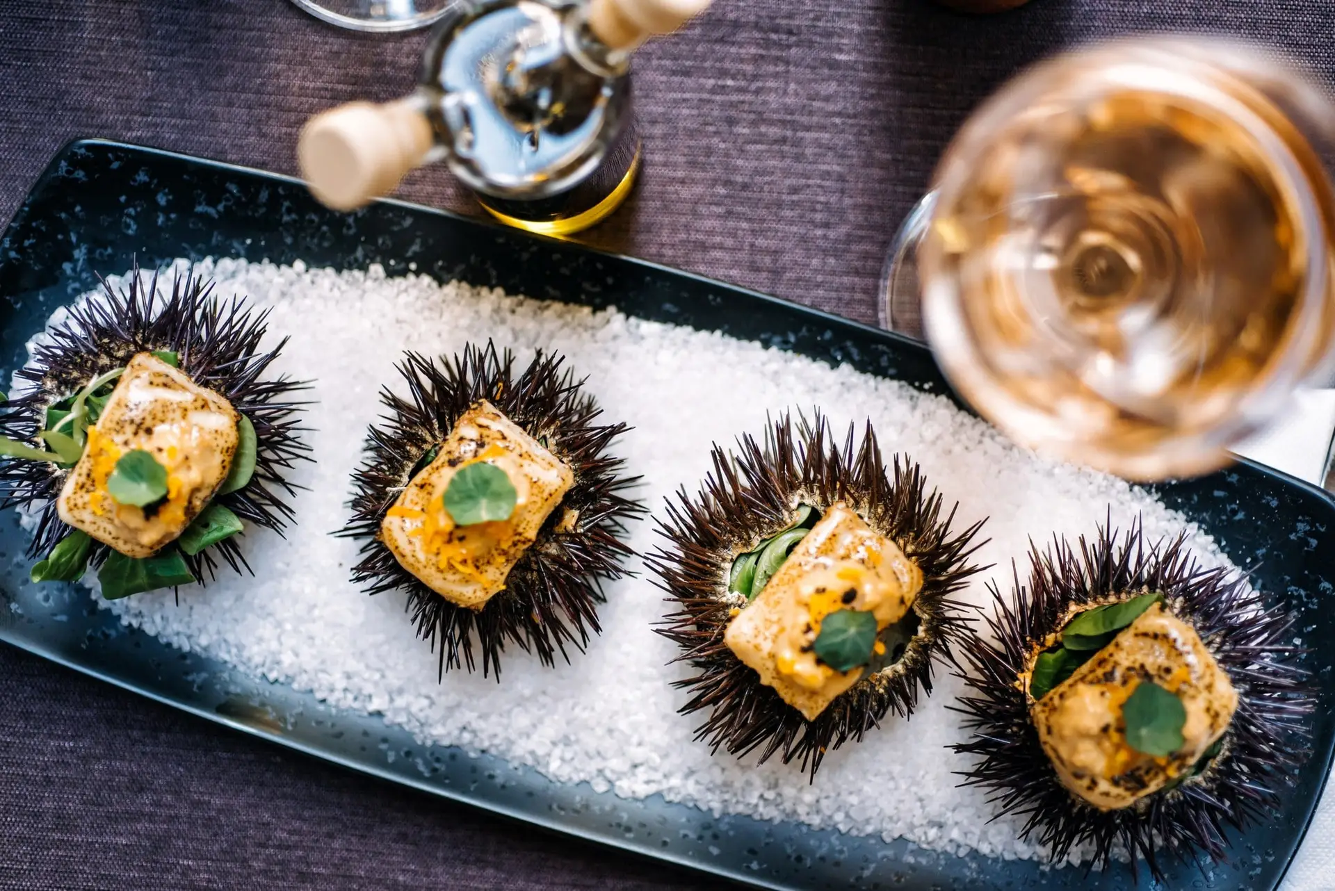 Sea urchin starter at Lucin Kantun