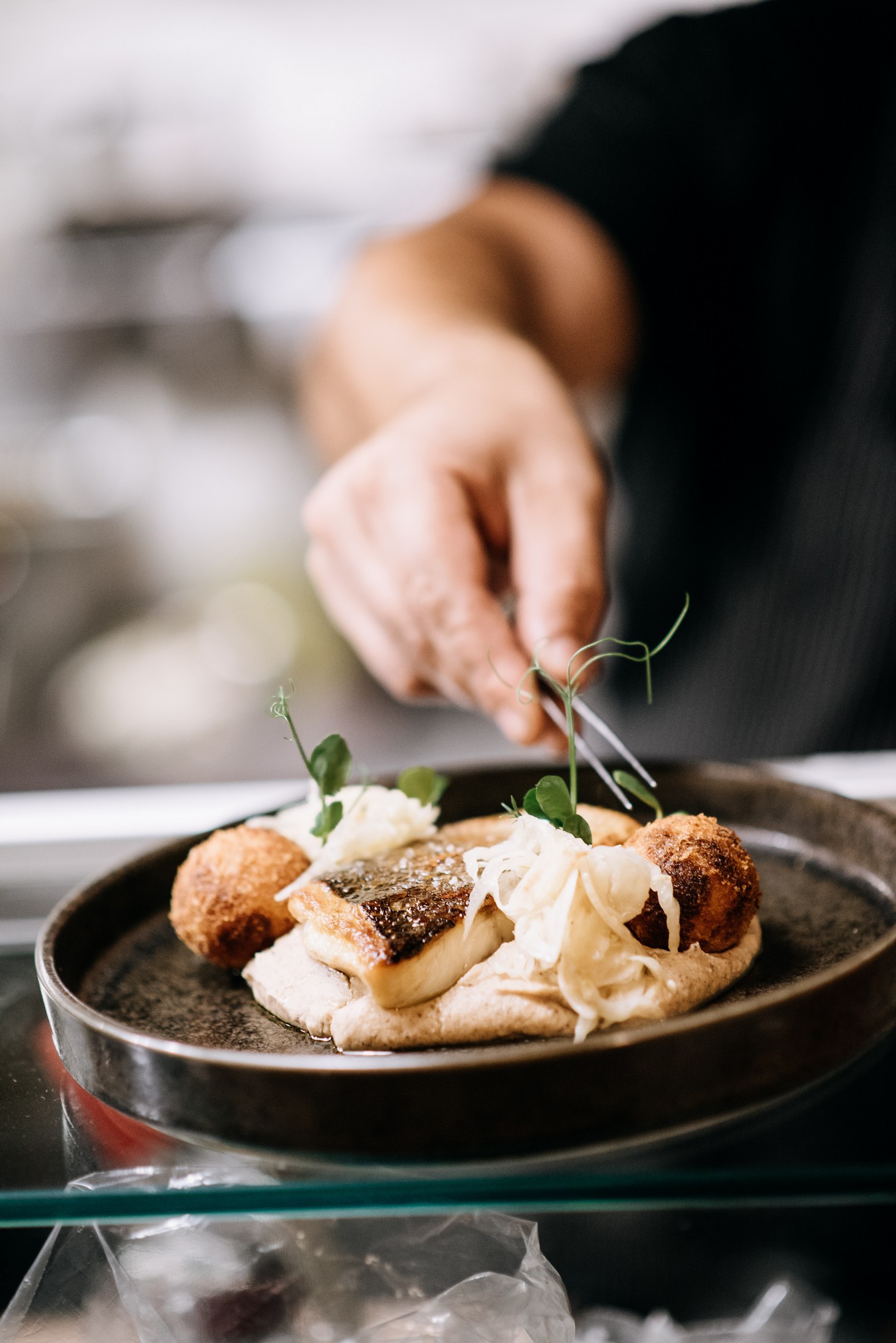 Lucin Kantun Dubrovnik